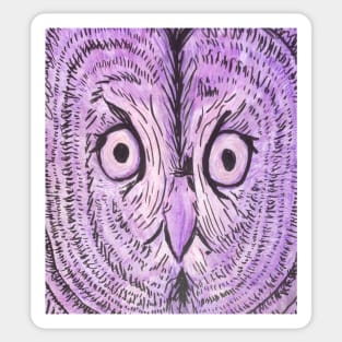 Purple Owl Face Sticker